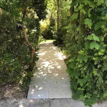 Schurwaldwohnung Adelberg