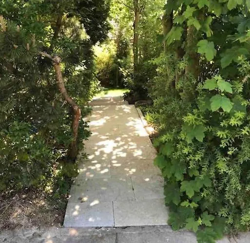 Schurwaldwohnung Adelberg